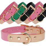 Dog Genuine Leather Collar.