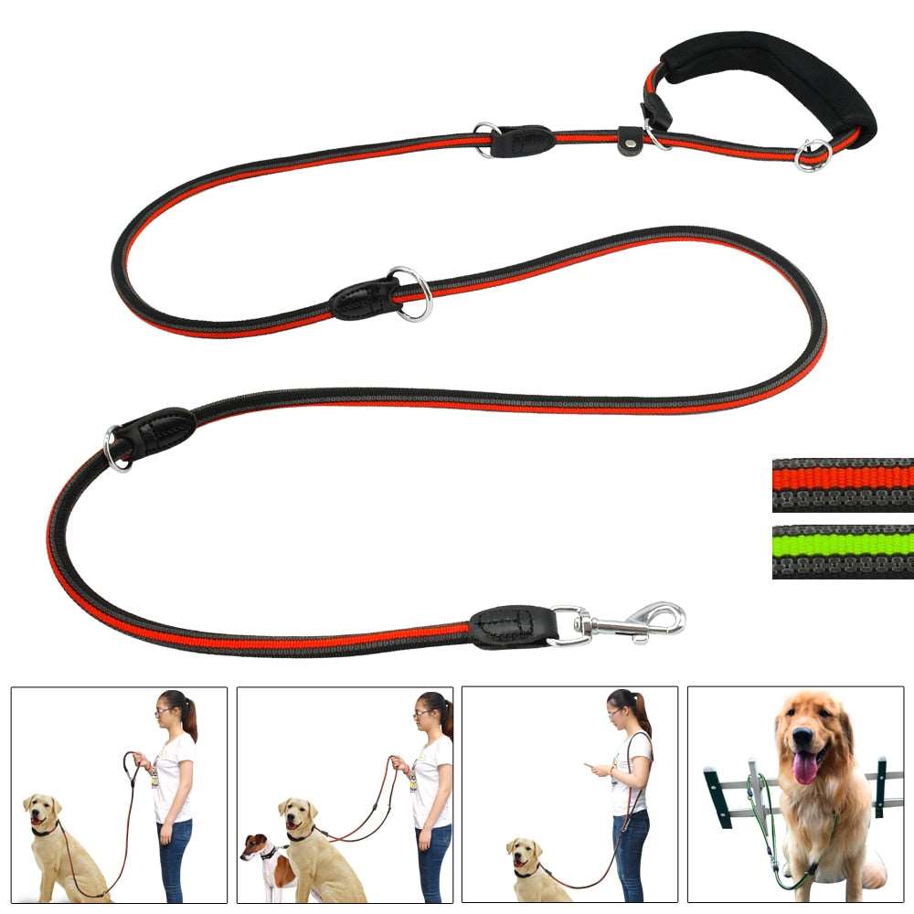 Multi-functional Hands Free Dog Leash.