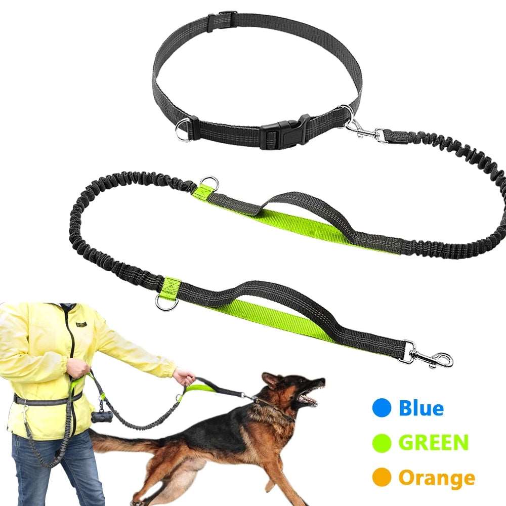 Hands-Free Dog Leash.