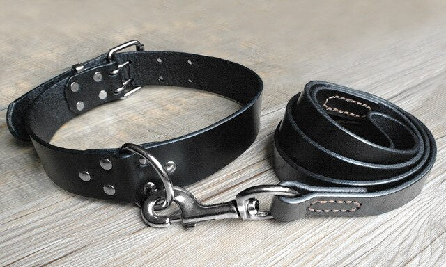 Real Leather Dog Collar Set.