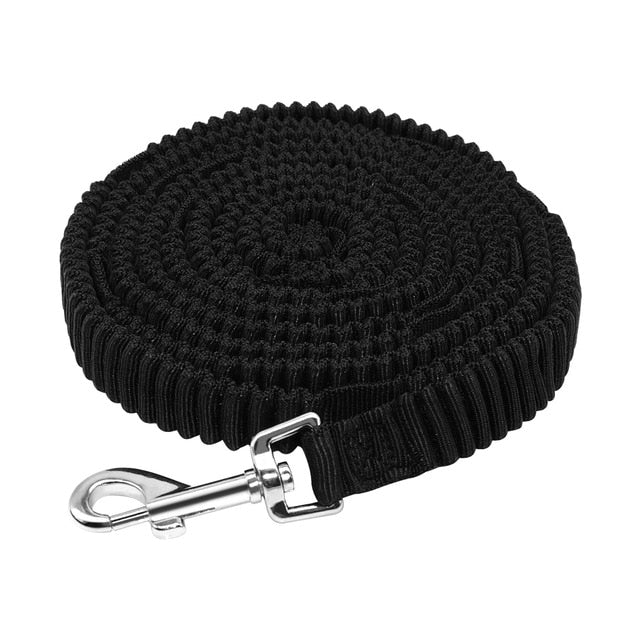 No-Pull Training Dog Leash.