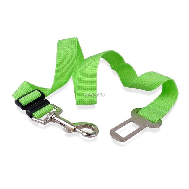 Seat Belt Adjustable Dog Leash.