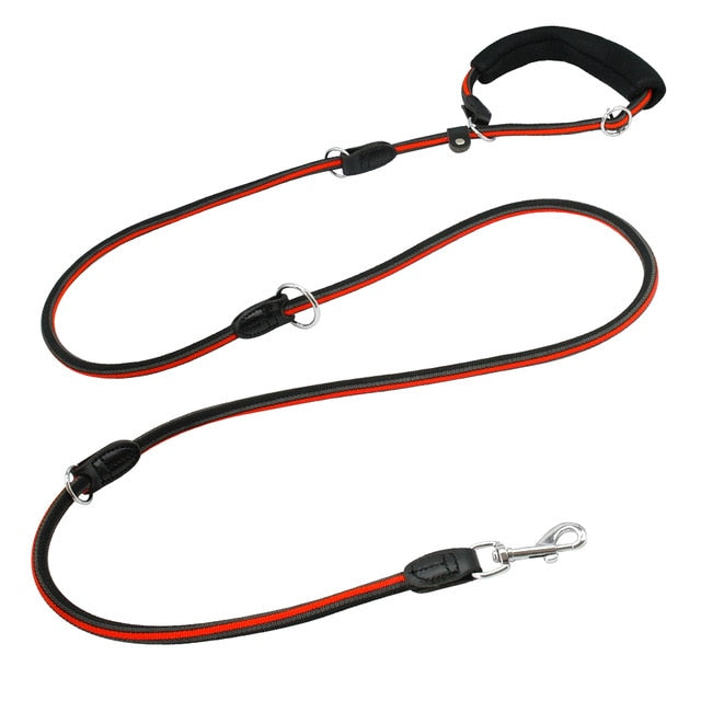 Multi-functional Hands Free Dog Leash.