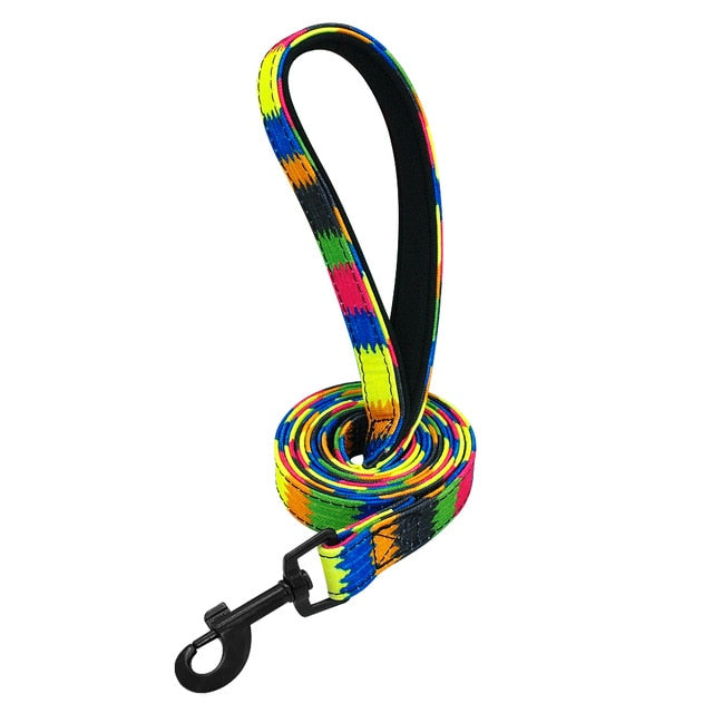 Colorful Patterned Dog Leash.